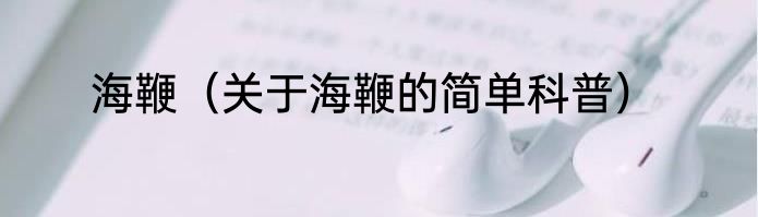 海鞭（关于海鞭的简单科普）