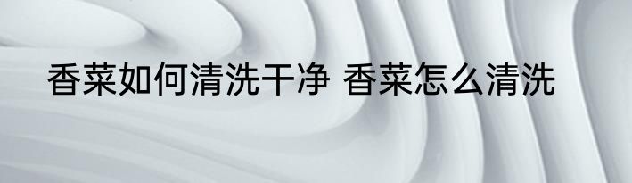 香菜如何清洗干净 香菜怎么清洗