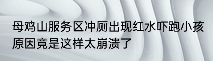 母鸡山服务区冲厕出现红水吓跑小孩 原因竟是这样太崩溃了