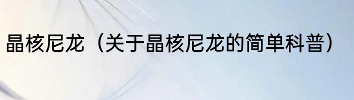 晶核尼龙（关于晶核尼龙的简单科普）