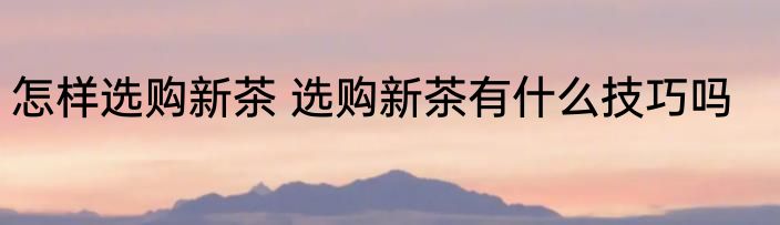 怎样选购新茶 选购新茶有什么技巧吗