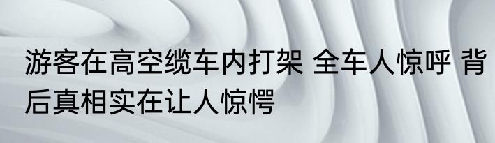 游客在高空缆车内打架 全车人惊呼 背后真相实在让人惊愕