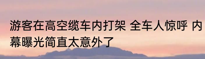 游客在高空缆车内打架 全车人惊呼 内幕曝光简直太意外了