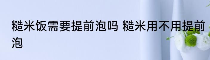 糙米饭需要提前泡吗 糙米用不用提前泡