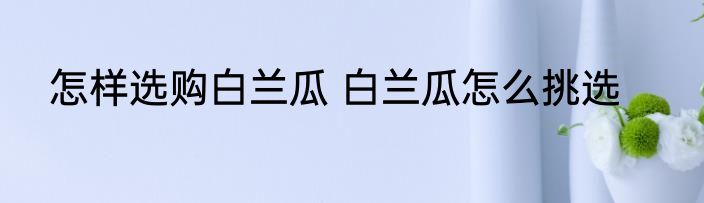 怎样选购白兰瓜 白兰瓜怎么挑选