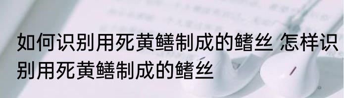 如何识别用死黄鳝制成的鳍丝 怎样识别用死黄鳝制成的鳍丝