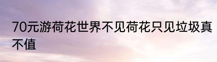70元游荷花世界不见荷花只见垃圾真不值