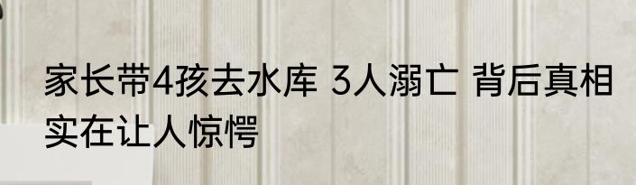 家长带4孩去水库 3人溺亡 背后真相实在让人惊愕