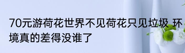 70元游荷花世界不见荷花只见垃圾 环境真的差得没谁了