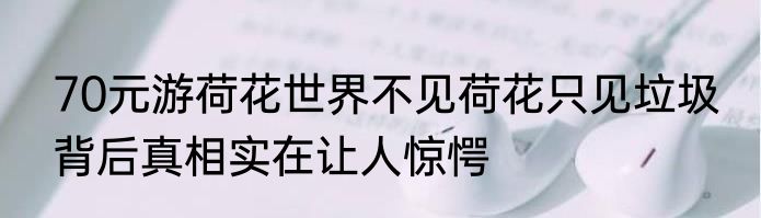 70元游荷花世界不见荷花只见垃圾 背后真相实在让人惊愕