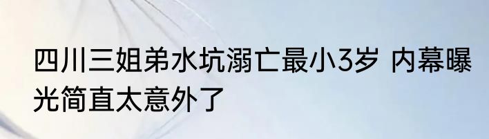 四川三姐弟水坑溺亡最小3岁 内幕曝光简直太意外了