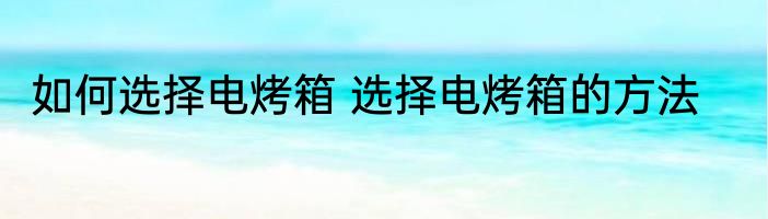 如何选择电烤箱 选择电烤箱的方法