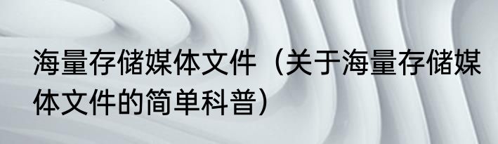 海量存储媒体文件（关于海量存储媒体文件的简单科普）