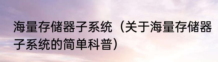 海量存储器子系统（关于海量存储器子系统的简单科普）