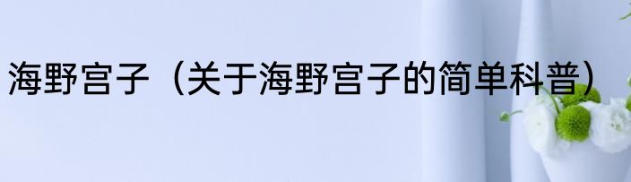 海野宫子（关于海野宫子的简单科普）