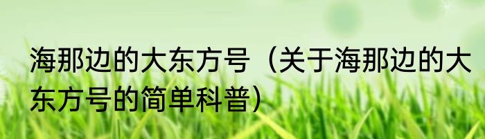 海那边的大东方号（关于海那边的大东方号的简单科普）