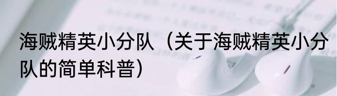 海贼精英小分队（关于海贼精英小分队的简单科普）