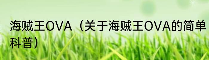 海贼王OVA（关于海贼王OVA的简单科普）