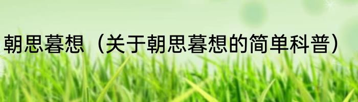 朝思暮想（关于朝思暮想的简单科普）
