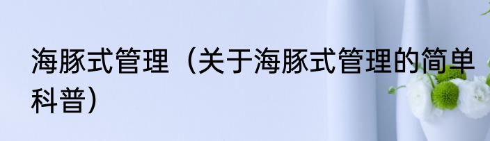 海豚式管理（关于海豚式管理的简单科普）