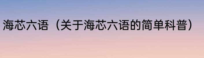 海芯六语（关于海芯六语的简单科普）