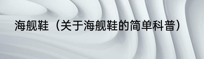 海舰鞋（关于海舰鞋的简单科普）