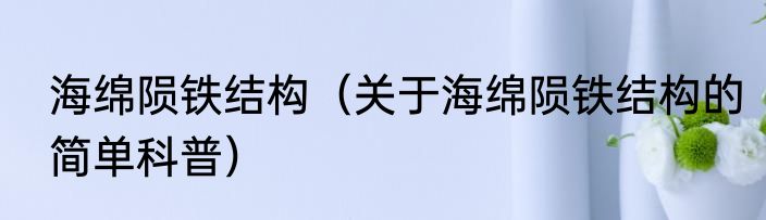 海绵陨铁结构（关于海绵陨铁结构的简单科普）