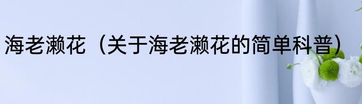 海老濑花（关于海老濑花的简单科普）