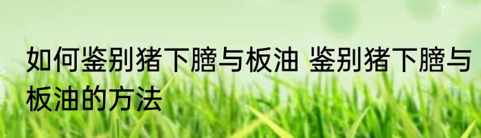 如何鉴别猪下膪与板油 鉴别猪下膪与板油的方法