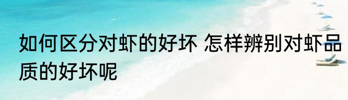 如何区分对虾的好坏 怎样辨别对虾品质的好坏呢