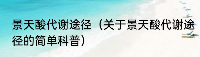 景天酸代谢途径（关于景天酸代谢途径的简单科普）