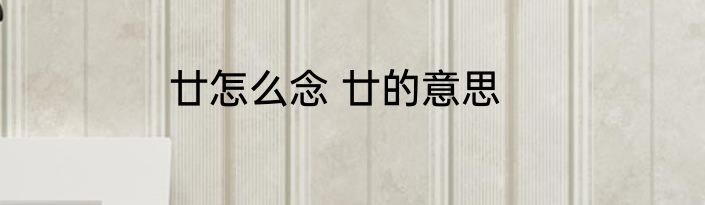 廿怎么念 廿的意思
