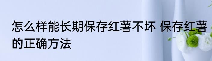 怎么样能长期保存红薯不坏 保存红薯的正确方法