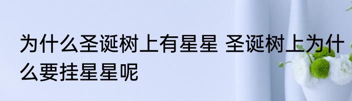 为什么圣诞树上有星星 圣诞树上为什么要挂星星呢