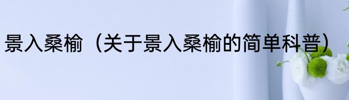 景入桑榆（关于景入桑榆的简单科普）