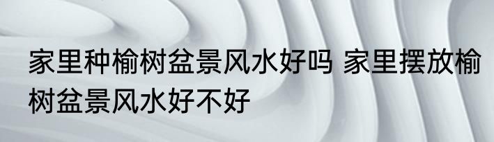 家里种榆树盆景风水好吗 家里摆放榆树盆景风水好不好