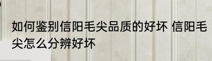 如何鉴别信阳毛尖品质的好坏 信阳毛尖怎么分辨好坏
