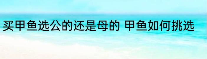 买甲鱼选公的还是母的 甲鱼如何挑选