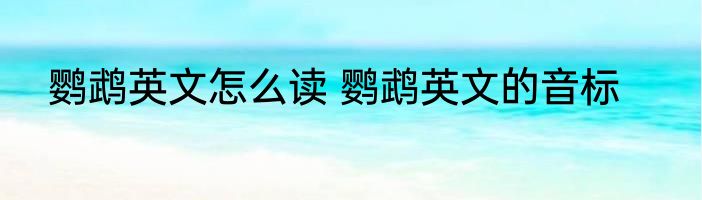 鹦鹉英文怎么读 鹦鹉英文的音标