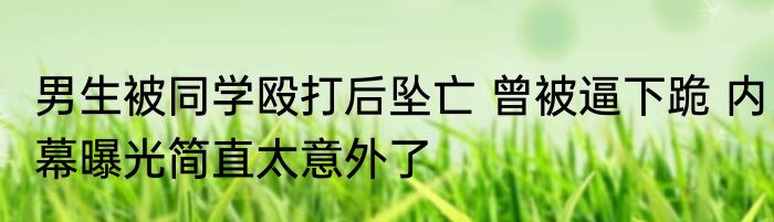 男生被同学殴打后坠亡 曾被逼下跪 内幕曝光简直太意外了
