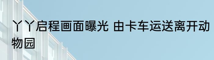 丫丫启程画面曝光 由卡车运送离开动物园