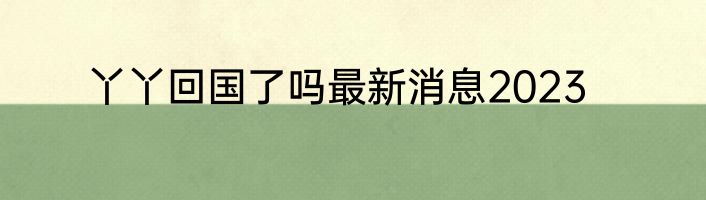 丫丫回国了吗最新消息2023
