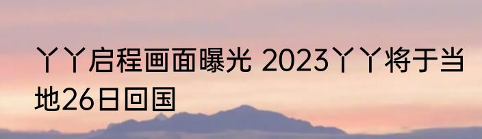丫丫启程画面曝光 2023丫丫将于当地26日回国