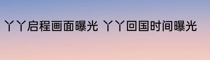 丫丫启程画面曝光 丫丫回国时间曝光