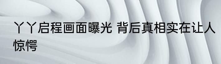 丫丫启程画面曝光 背后真相实在让人惊愕