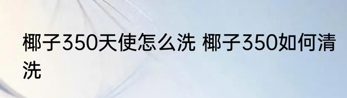 椰子350天使怎么洗 椰子350如何清洗