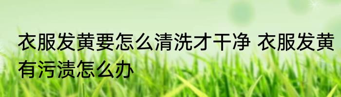 衣服发黄要怎么清洗才干净 衣服发黄有污渍怎么办