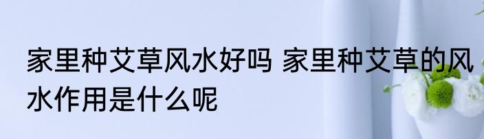 家里种艾草风水好吗 家里种艾草的风水作用是什么呢