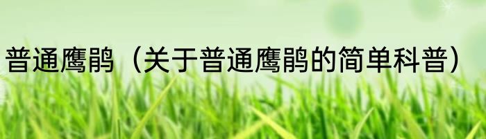 普通鹰鹃（关于普通鹰鹃的简单科普）