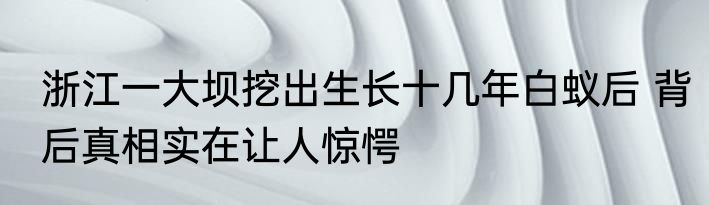浙江一大坝挖出生长十几年白蚁后 背后真相实在让人惊愕